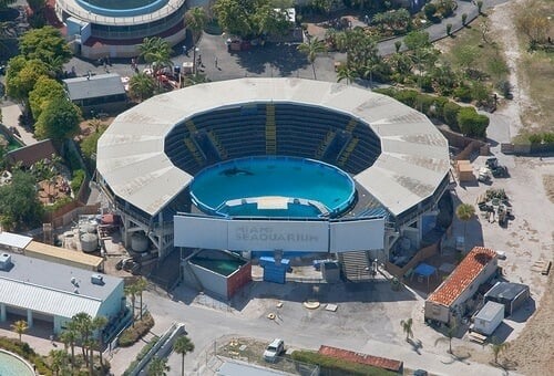 Show da baleia orca no Seaquarium