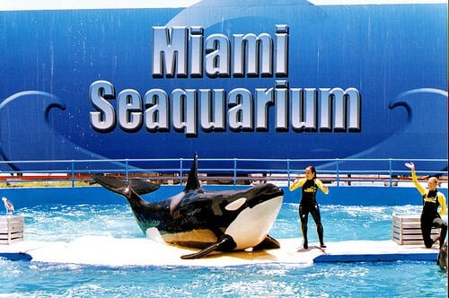 Miami Seaquarium