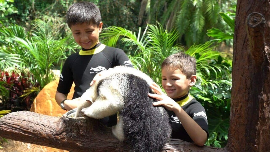 Massagem e encontro com animais no Discovery Cove: Passeio pelos bastidores com animais