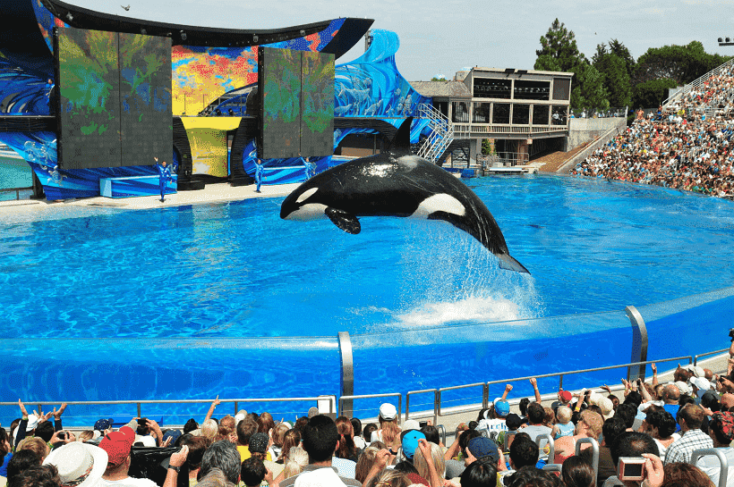 Parque Sea World