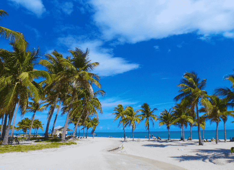 Crandon Park em Miami 