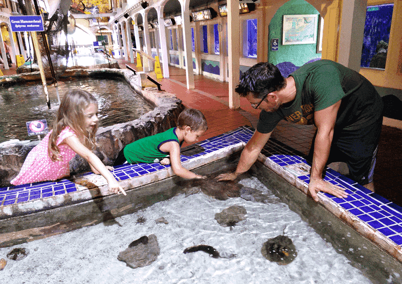 Key West Aquarium 