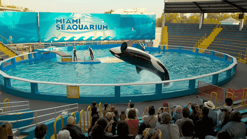 Miami Seaquarium 