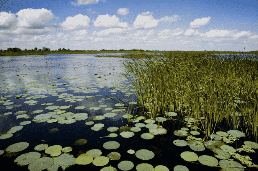 Lake Okeechobee em Miami