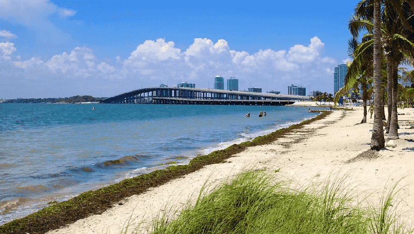 Passeio pelas praias paradisíacas em Miami