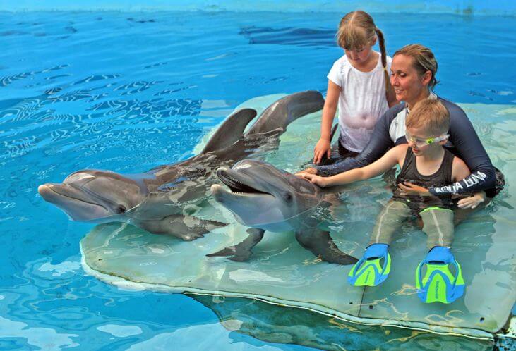 Clearwater Marine Aquarium