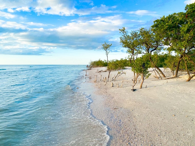 Honeymoon Island State Park