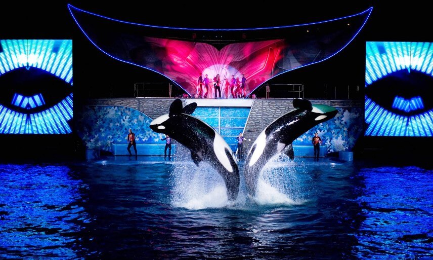 Summer Nights no Sea World em Orlando