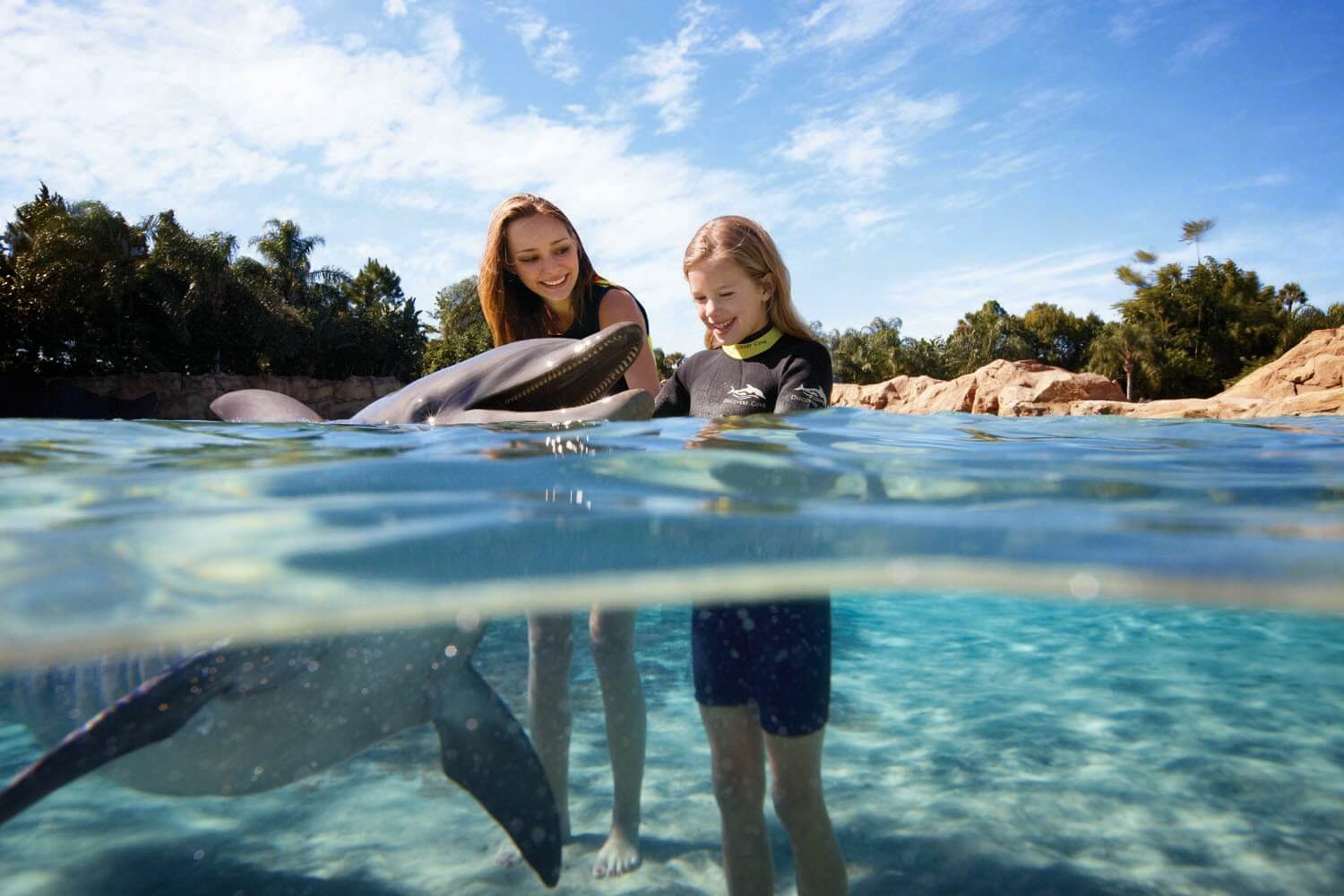 Parque Discovery Cove em Orlando