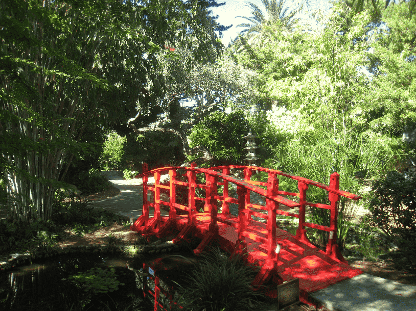 Miami Beach Botanical Garden