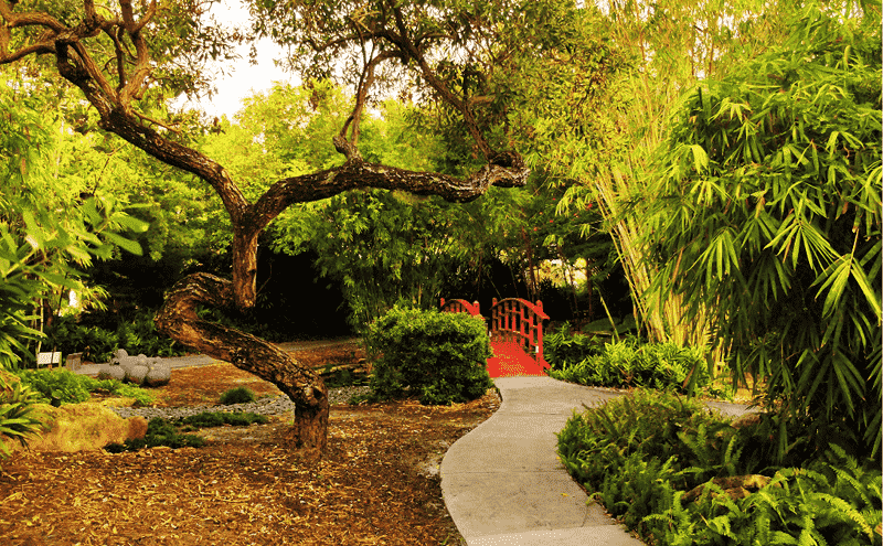 Jardim Botânico de Miami Beach