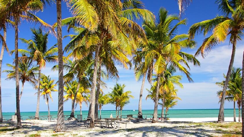 Crandon Park Miami: Parque natural em Key Biscayne