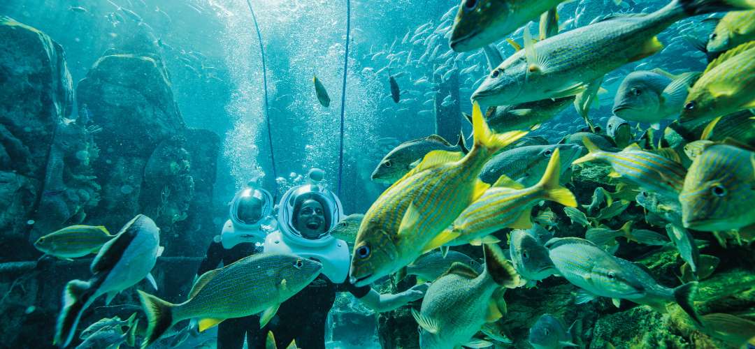 Casal nadando com peixes no parque Discovery Cove em Orlando