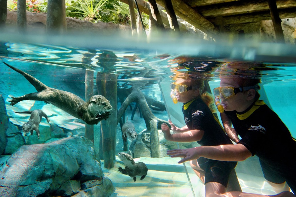 Crianças no parque Discovery Cove em Orlando