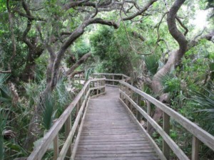 Lori Wilson Park em Cocoa Beach