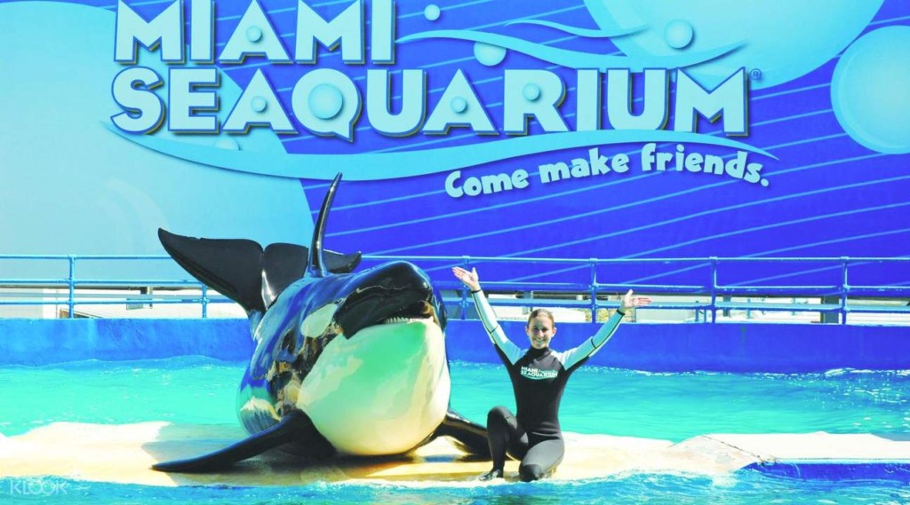 Seaquarium em Miami