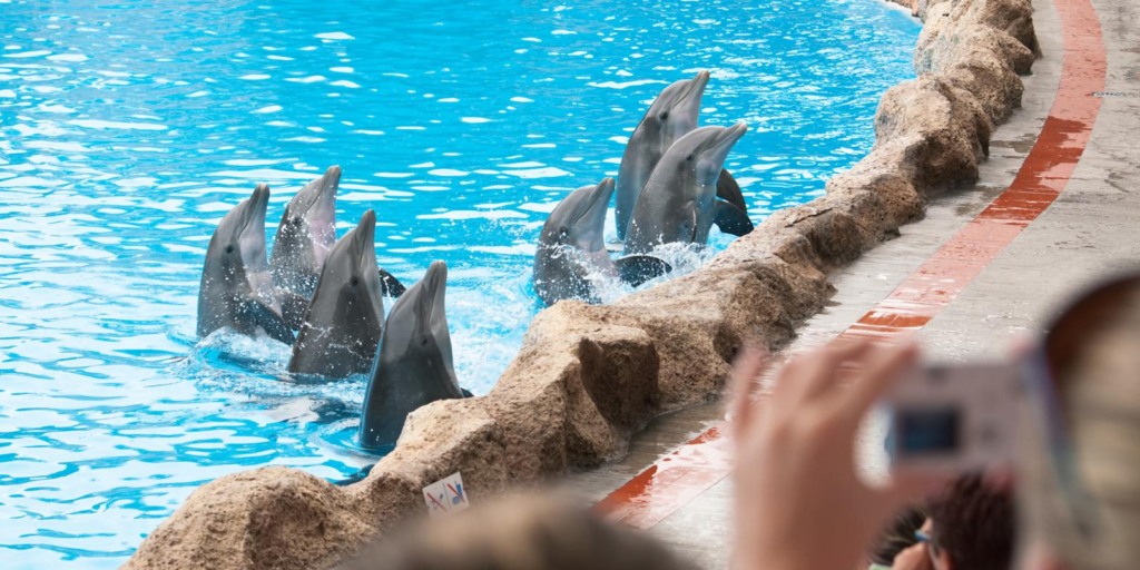 Miami Seaquarium