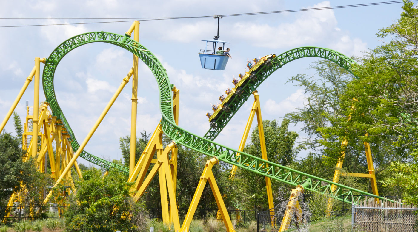 Montanha russa Cheetah Hunt