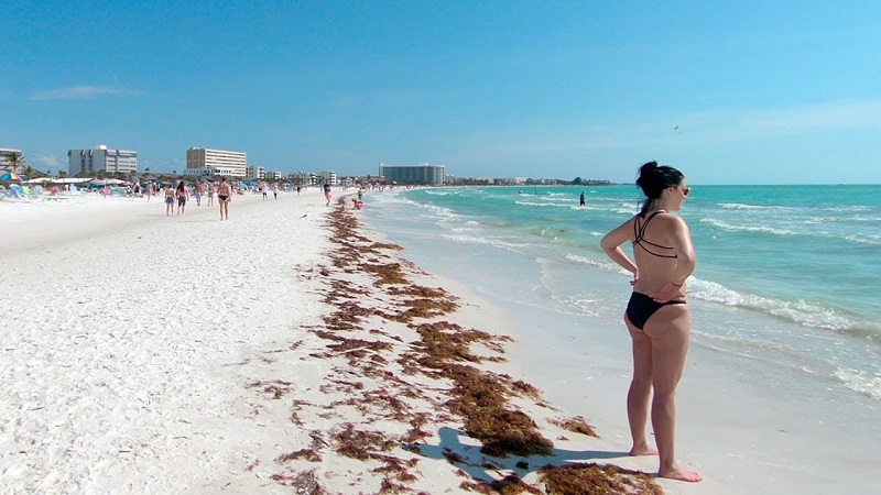 Siesta Key Beach em Sarasota