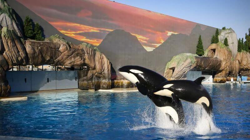 SeaWorld em Orlando