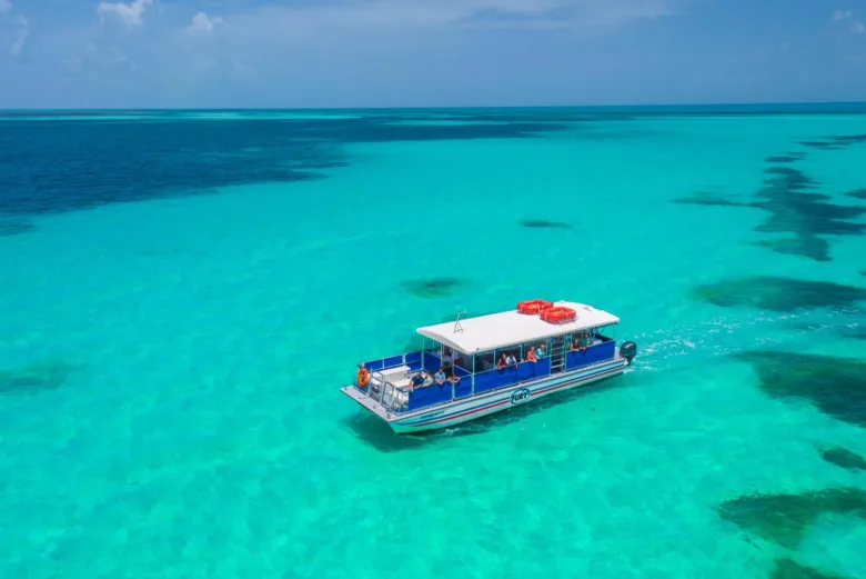 Passeio para ver golfinhos em Key West na Flórida