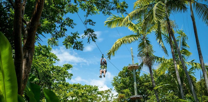 Tirolesa no Treetop Trekking Miami